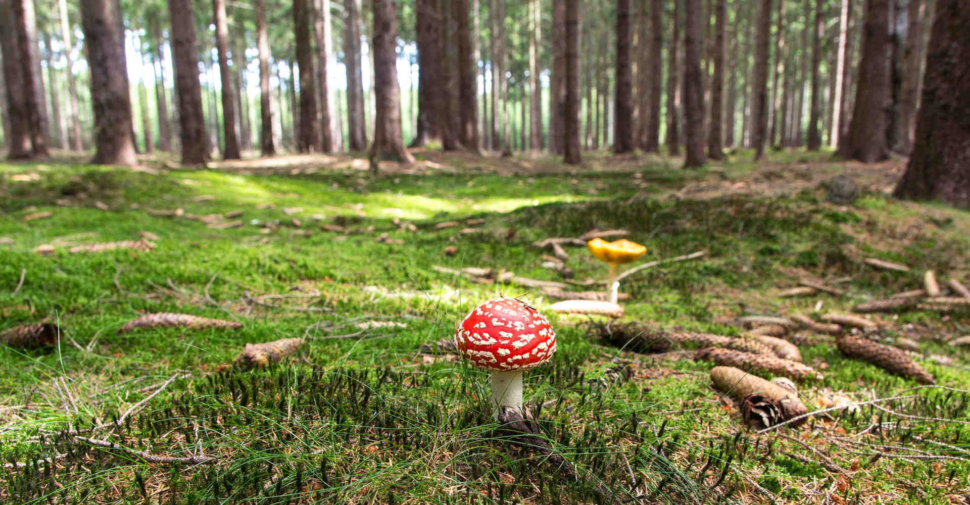 27 jel, amiből mérgező kapcsolatra gyanakodhatsz