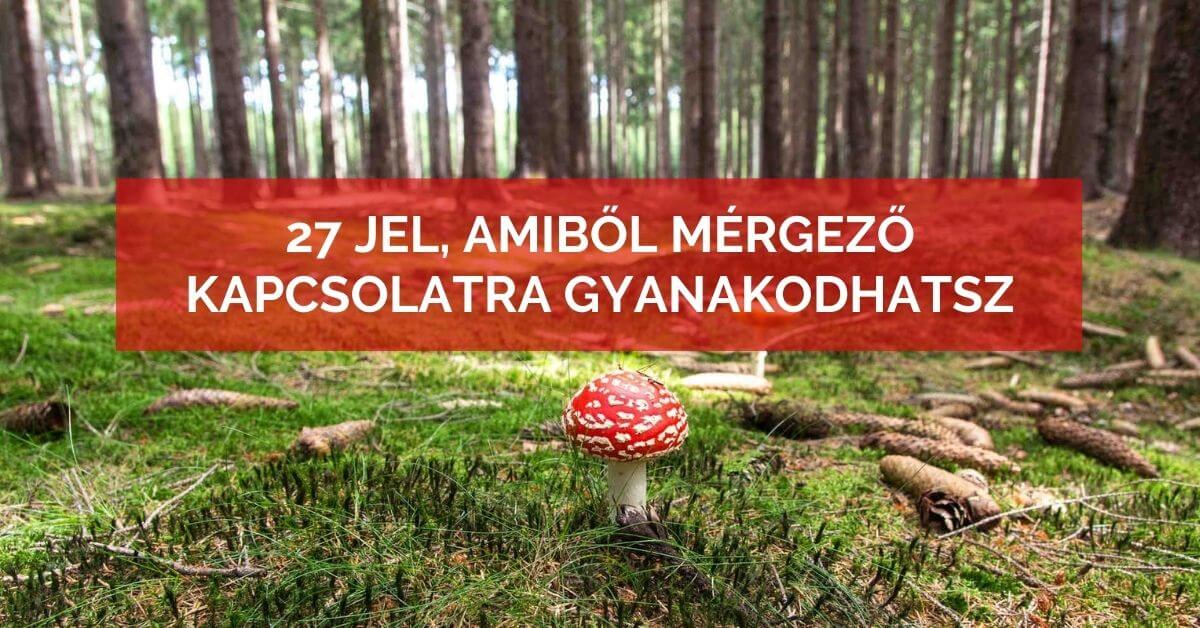 27 jel, amiből mérgező kapcsolatra gyanakodhatsz