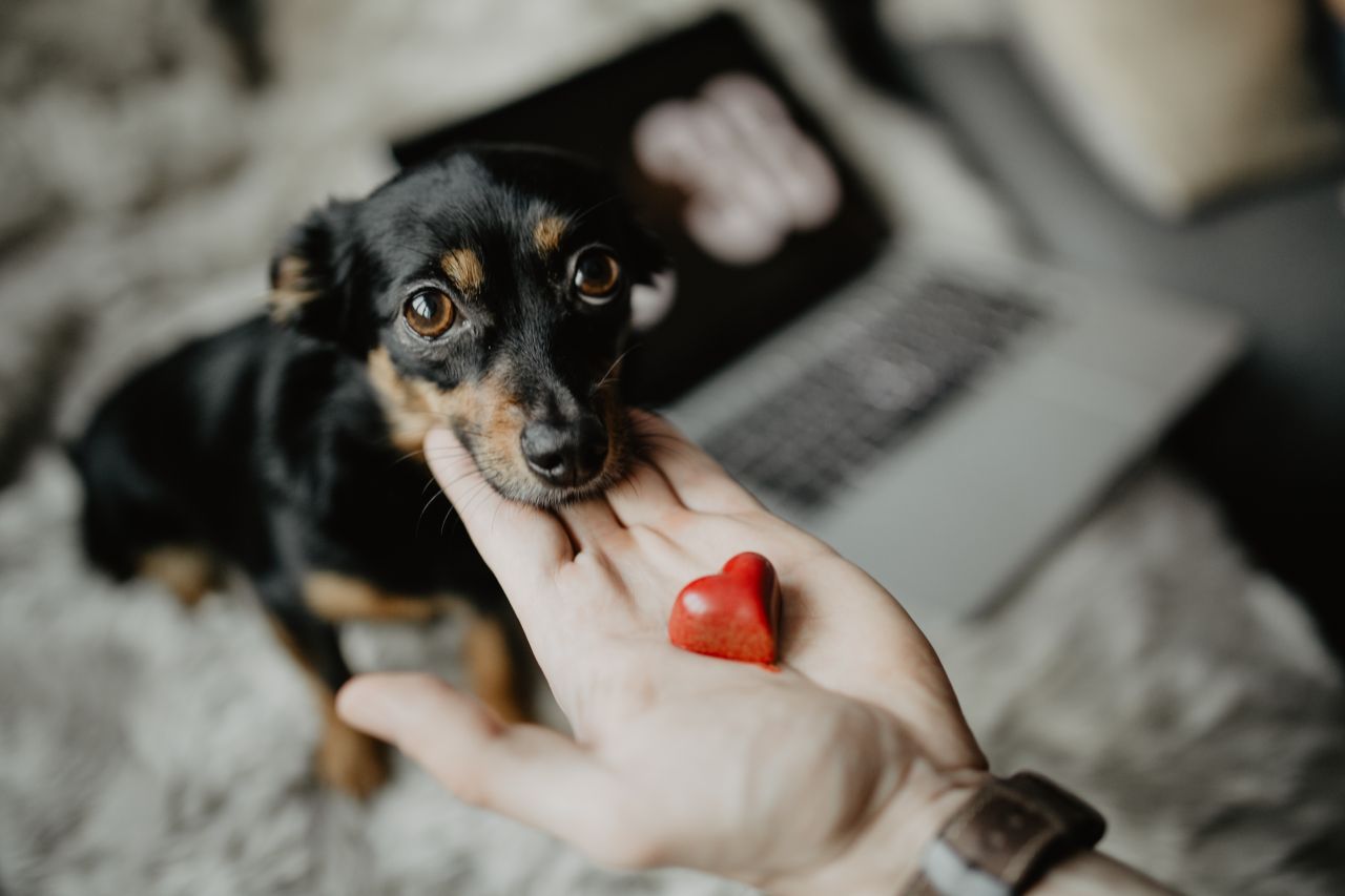11 tipp introvertáltaknak, hogy feltöltődjenek és visszanyerjék az életkedvüket