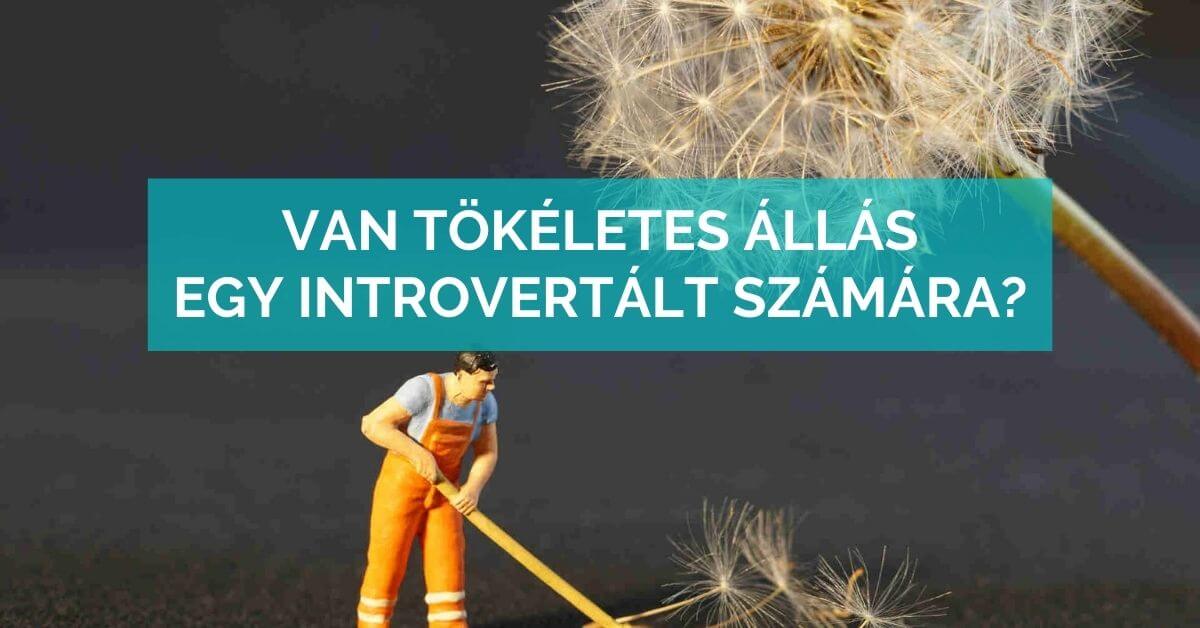 Van tökéletes állás egy introvertált számára?