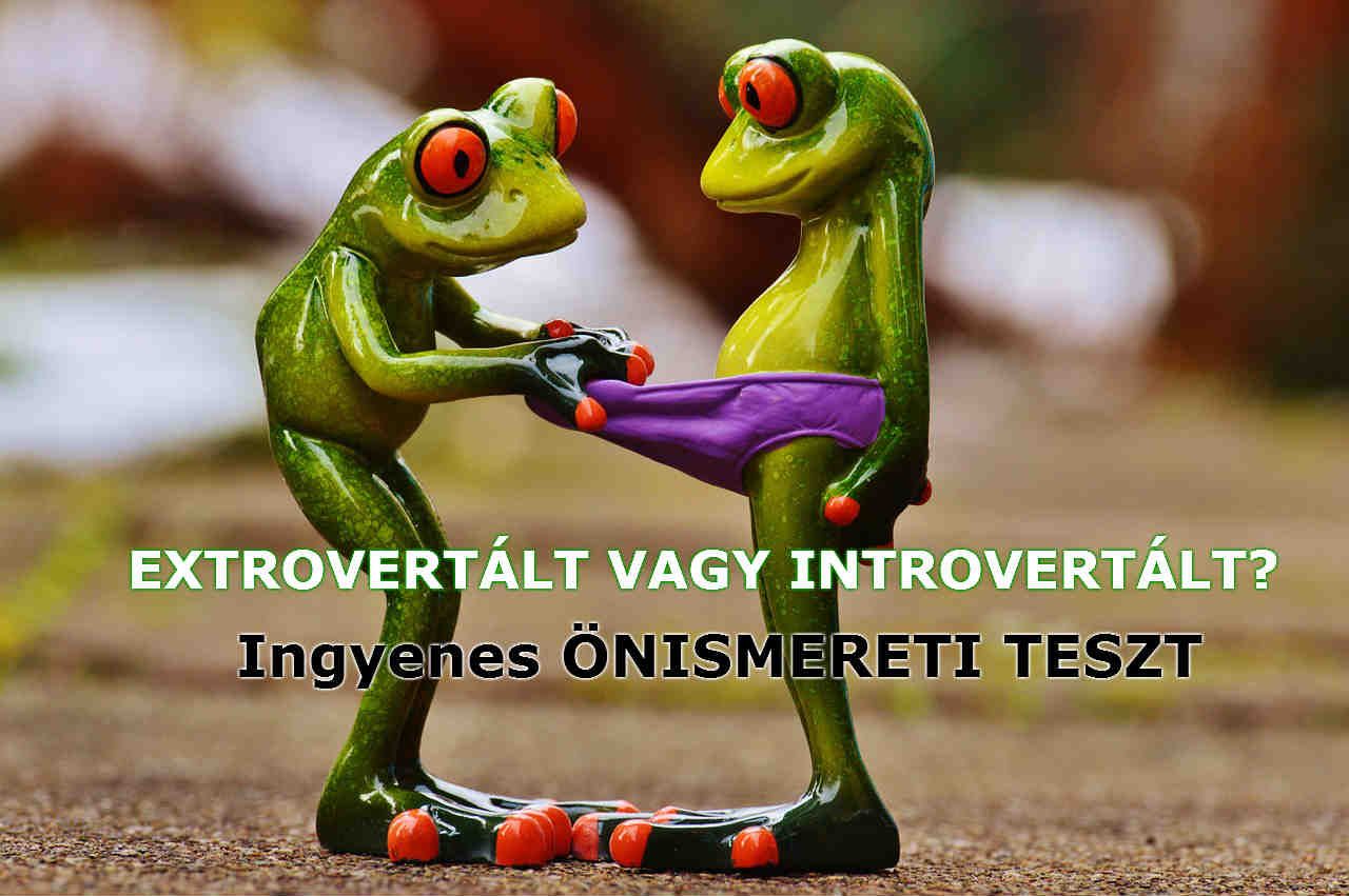 Ingyenes Önismereti Teszt