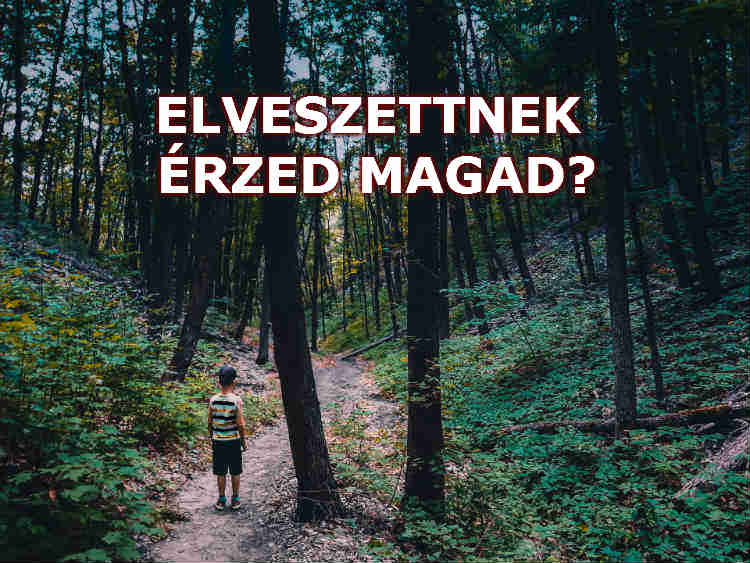 elveszett vagy