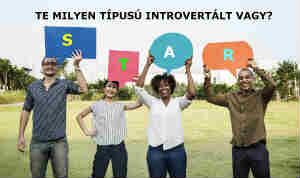 introvertáltság típusai