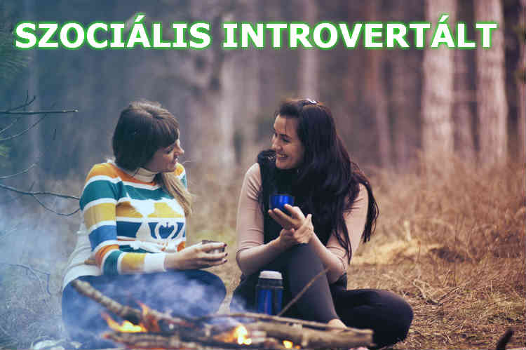 szociális introvertált