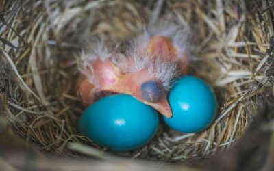 8 jel, amiből kiderül vajon a változás küszöbén állsz-e