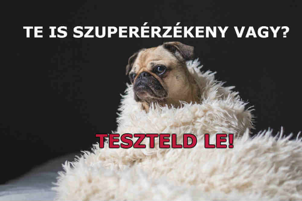 Szuperérzékenységi Teszt