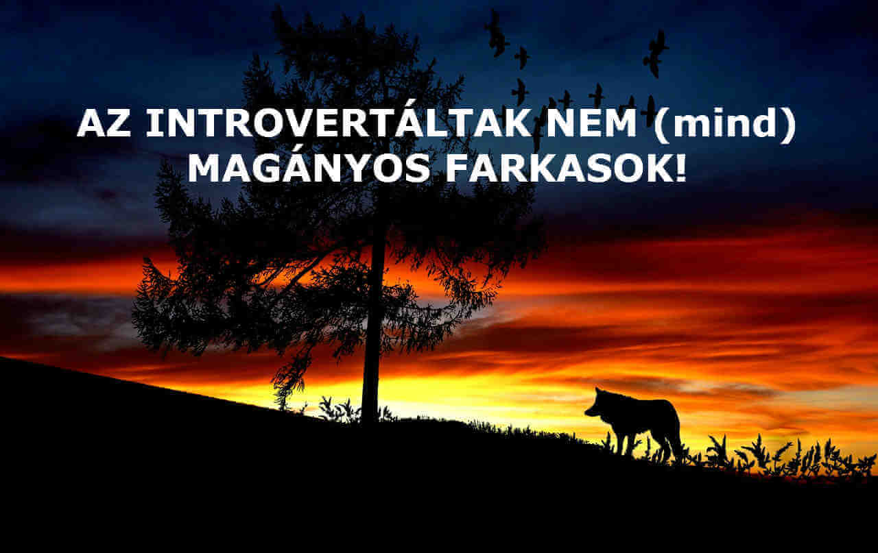 introvertált tévhitek és cáfolatok 3