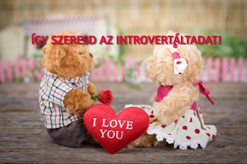 így szeresd az introvertáltadat 10 tanács