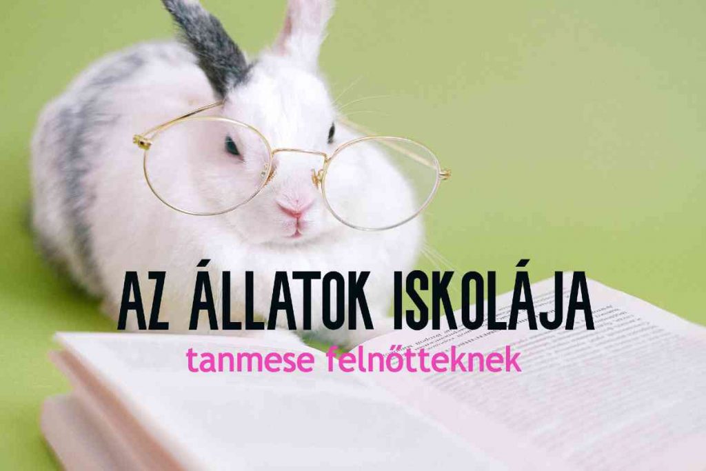 az állatok iskolája tanmese felnőtteknek