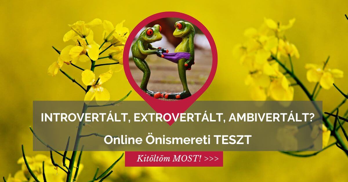 Introvertált-Extrovertált-Ambivertált Önismereti online Teszt