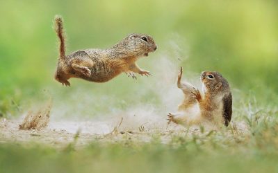 26 önszabotáló szokás, ami akadályoz álmaid megvalósításában